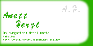 anett herzl business card